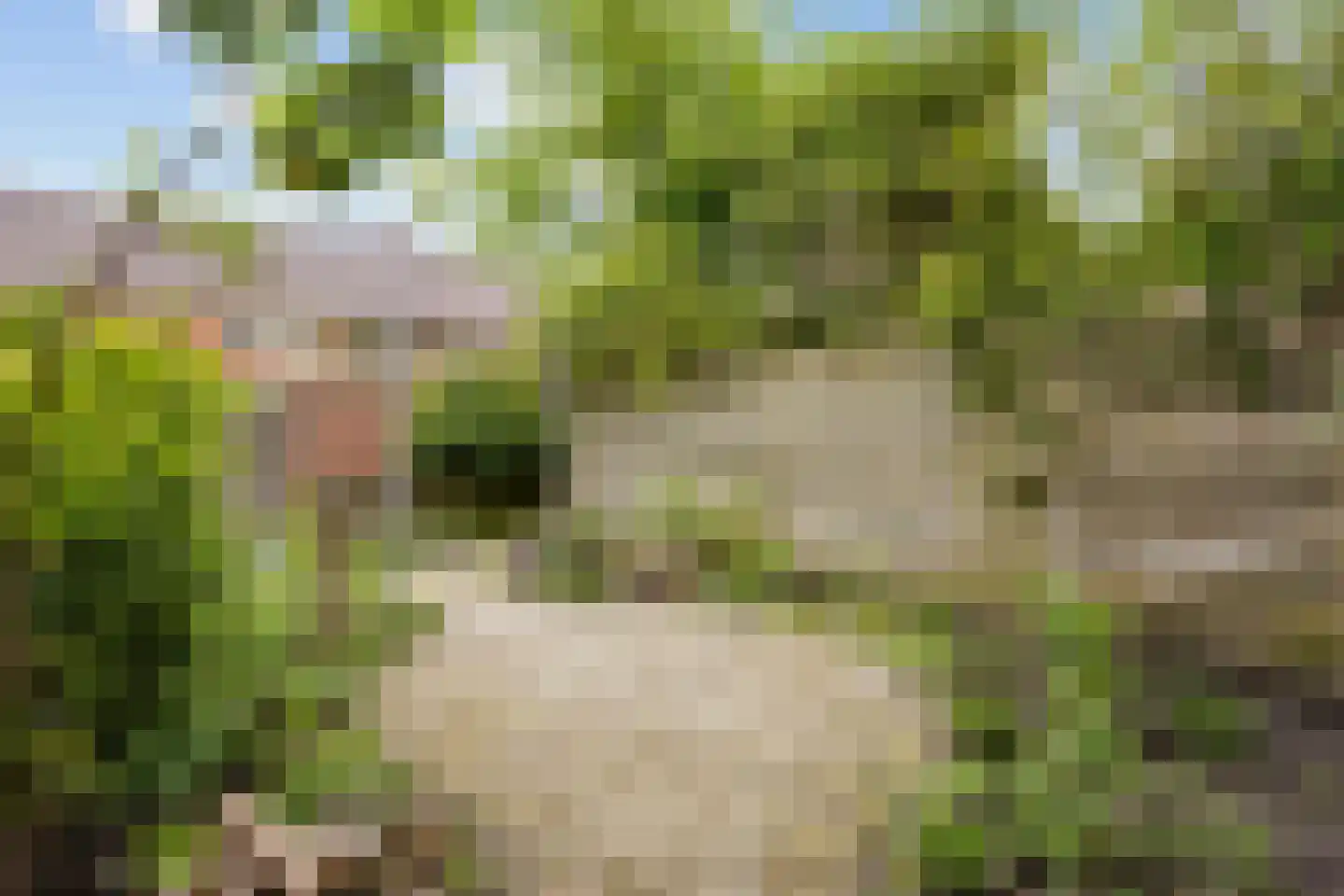 Hortensialaan 42 Groningen thumbnail 25