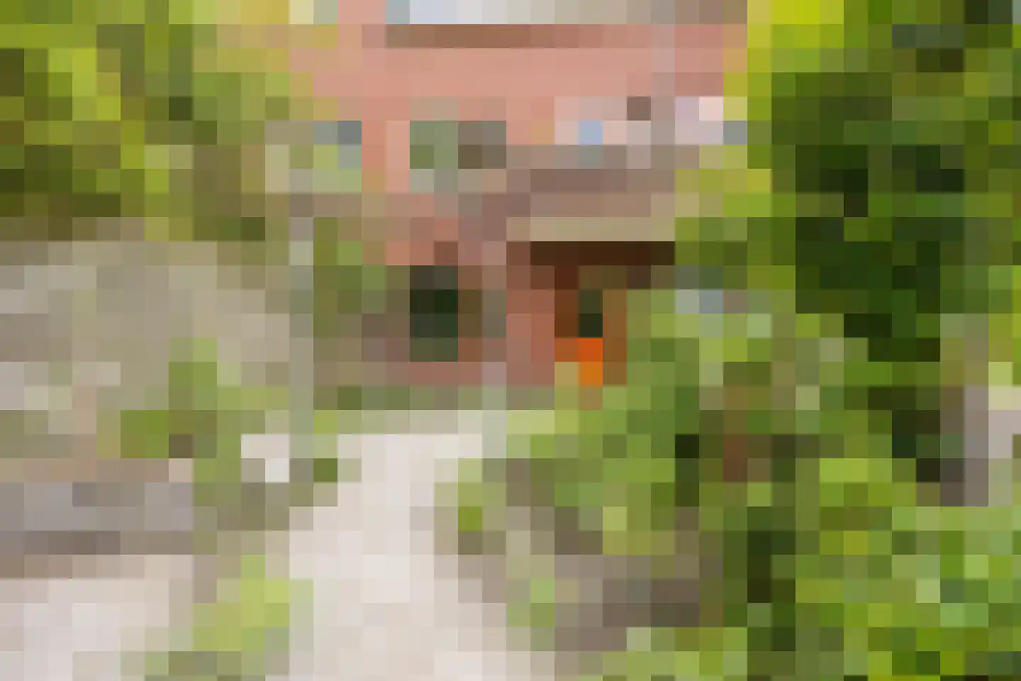 Hortensialaan 42 Groningen thumbnail 28