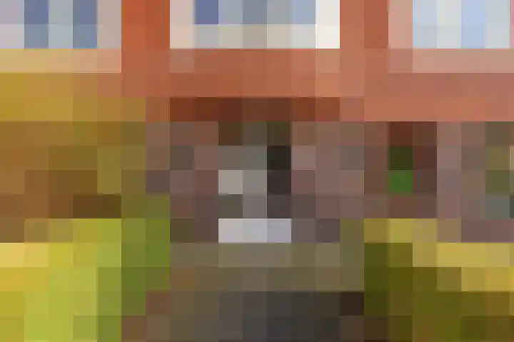 Hortensialaan 45 a Groningen thumbnail 30