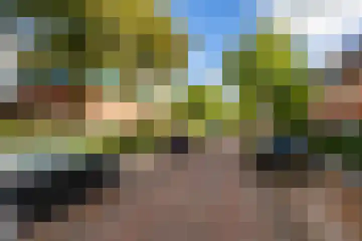 Hortensialaan 48 a Groningen thumbnail 38