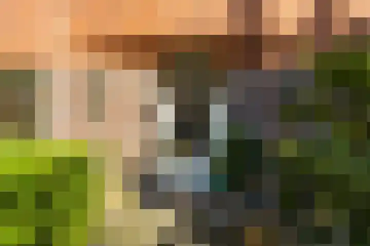 Hortensialaan 48 a Groningen thumbnail 5