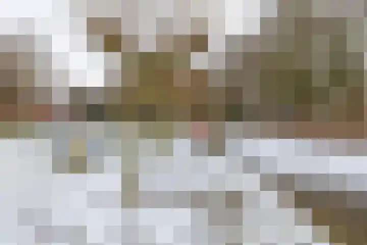 Hortensialaan 48 Groningen thumbnail 29