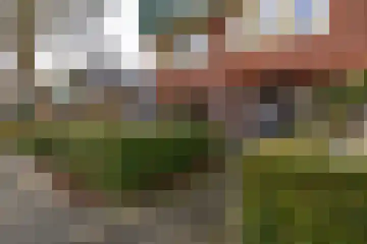 Hortensialaan 48 Groningen thumbnail 5