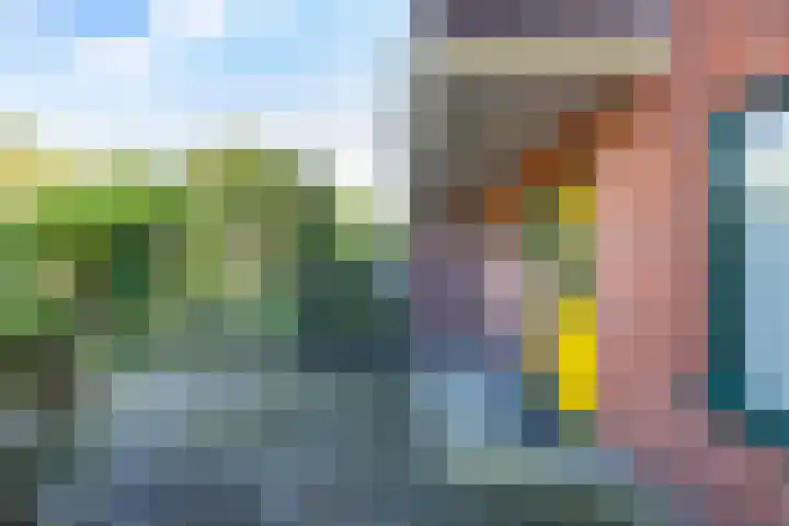 Hortensialaan 52 Groningen thumbnail 19