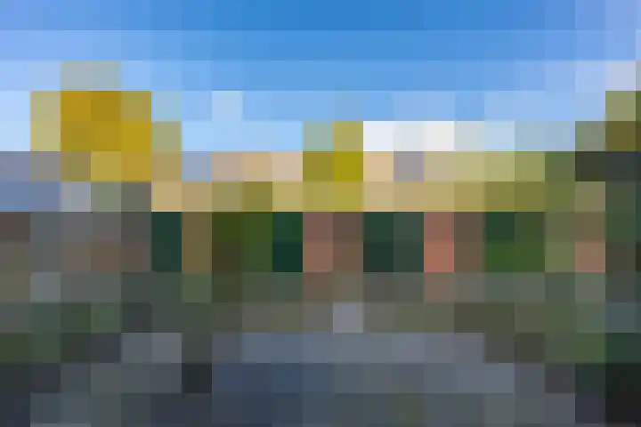 Hortensialaan 52 Groningen thumbnail 20