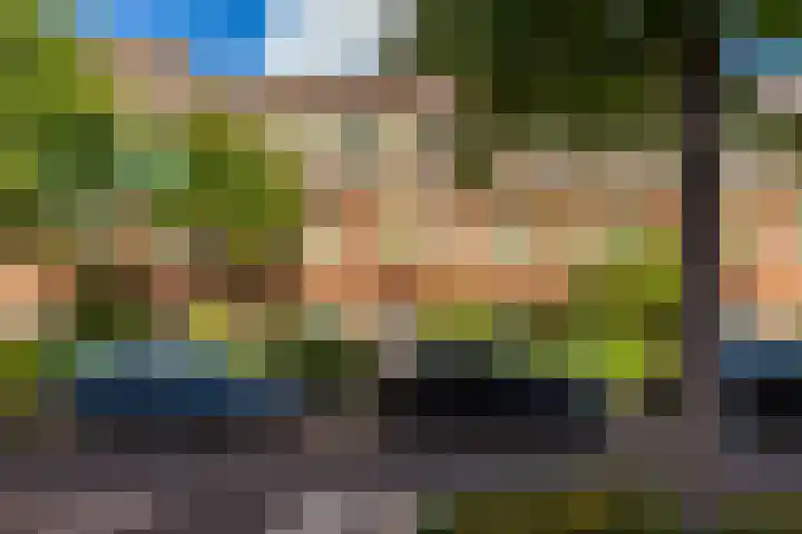 Hortensialaan 52 Groningen thumbnail 24