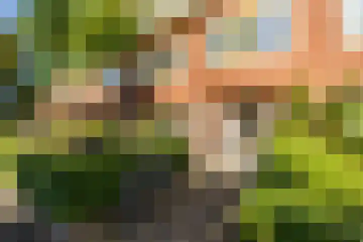 Hortensialaan 52 Groningen thumbnail 25