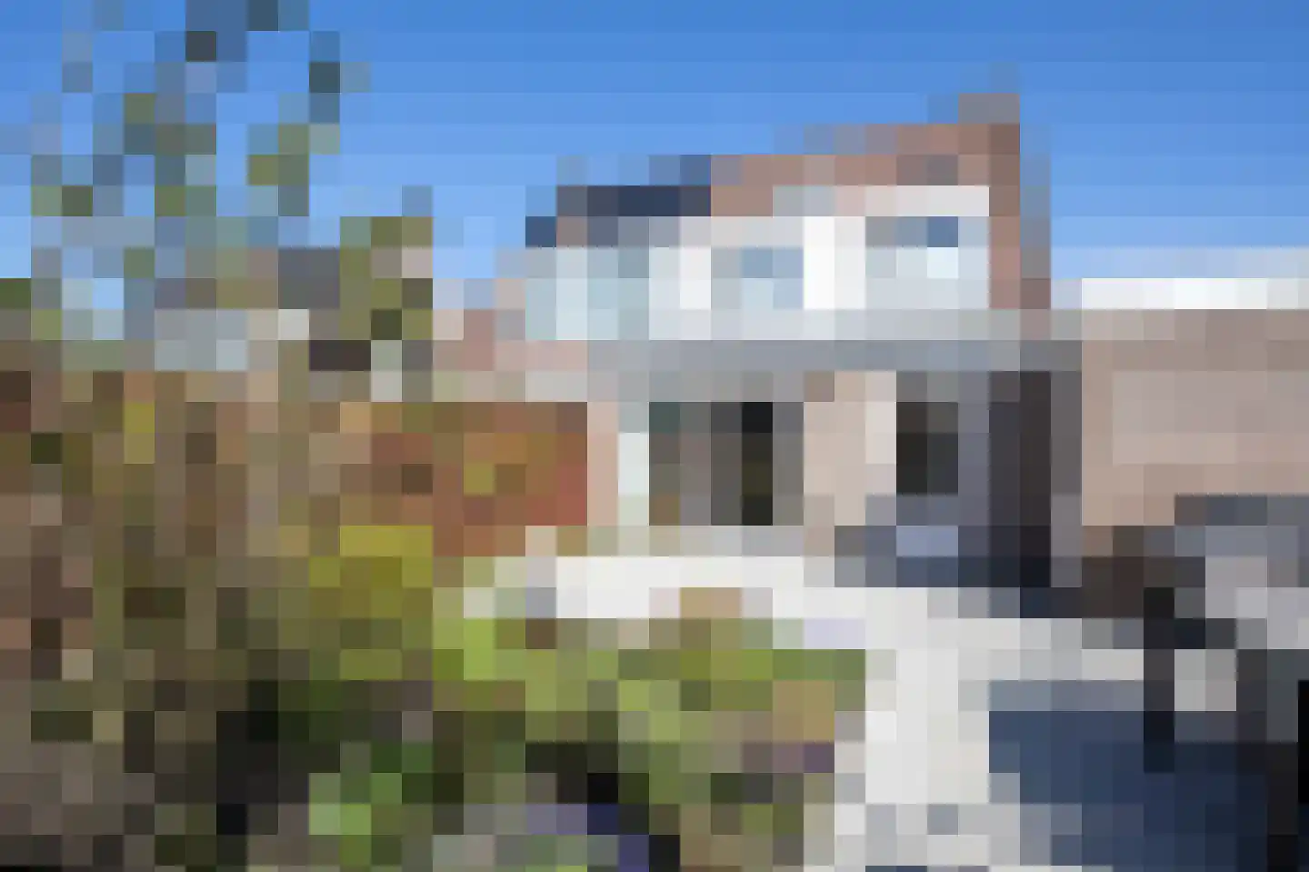 Hortensialaan 54 Aalsmeer thumbnail 35