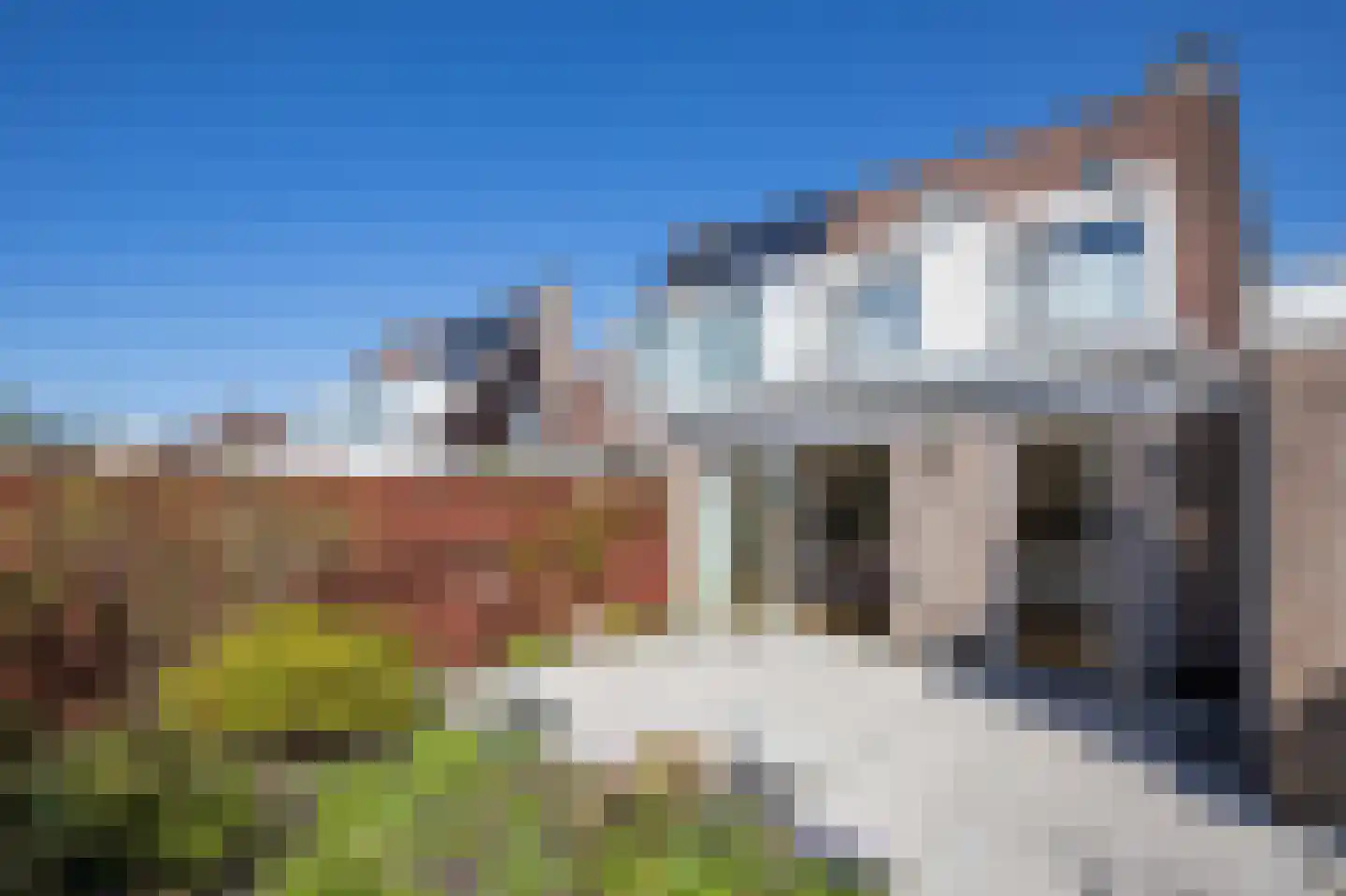 Hortensialaan 54 Aalsmeer thumbnail 5