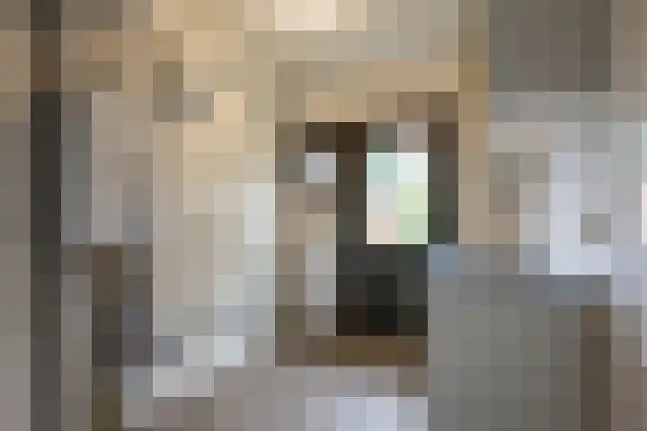 Hortensialaan 54 Groningen thumbnail 14