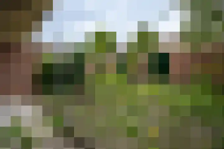 Hortensialaan 54 Groningen thumbnail 18