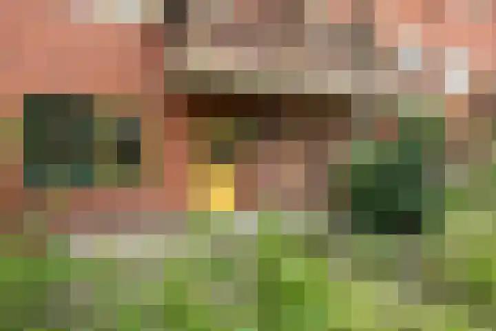 Hortensialaan 54 Groningen thumbnail 19