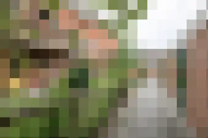 Hortensialaan 54 Groningen thumbnail 22