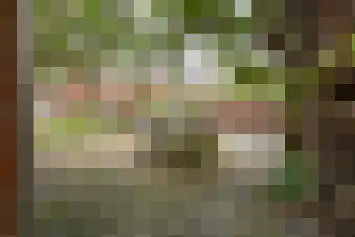 Hortensialaan 54 Groningen thumbnail 23