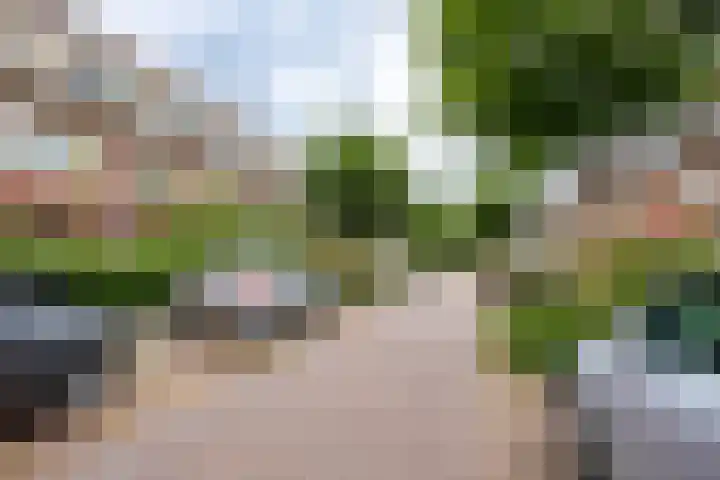 Hortensialaan 54 Groningen thumbnail 24