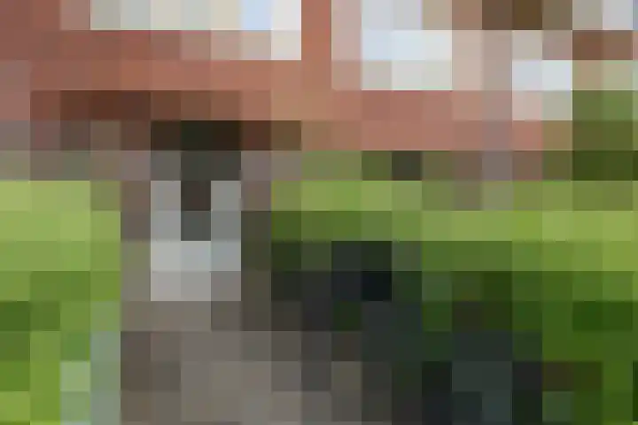 Hortensialaan 54 Groningen thumbnail 5