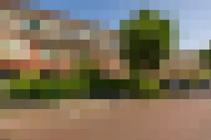 Hortensialaan 56 b Groningen thumbnail 21