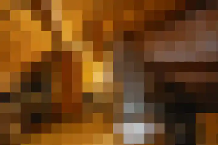 Hortensialaan 56 b Groningen thumbnail 32