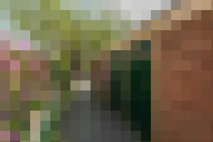 Hortensialaan 56 b Groningen thumbnail 34