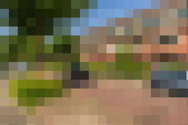Hortensialaan 56 b Groningen thumbnail 41