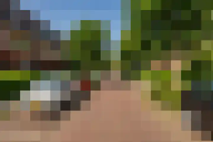Hortensialaan 56 b Groningen thumbnail 6