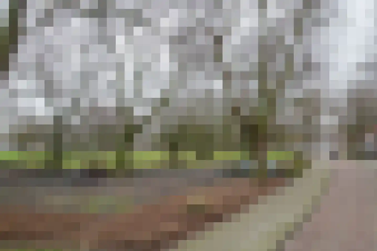 Hortensialaan 6 Helmond thumbnail 27