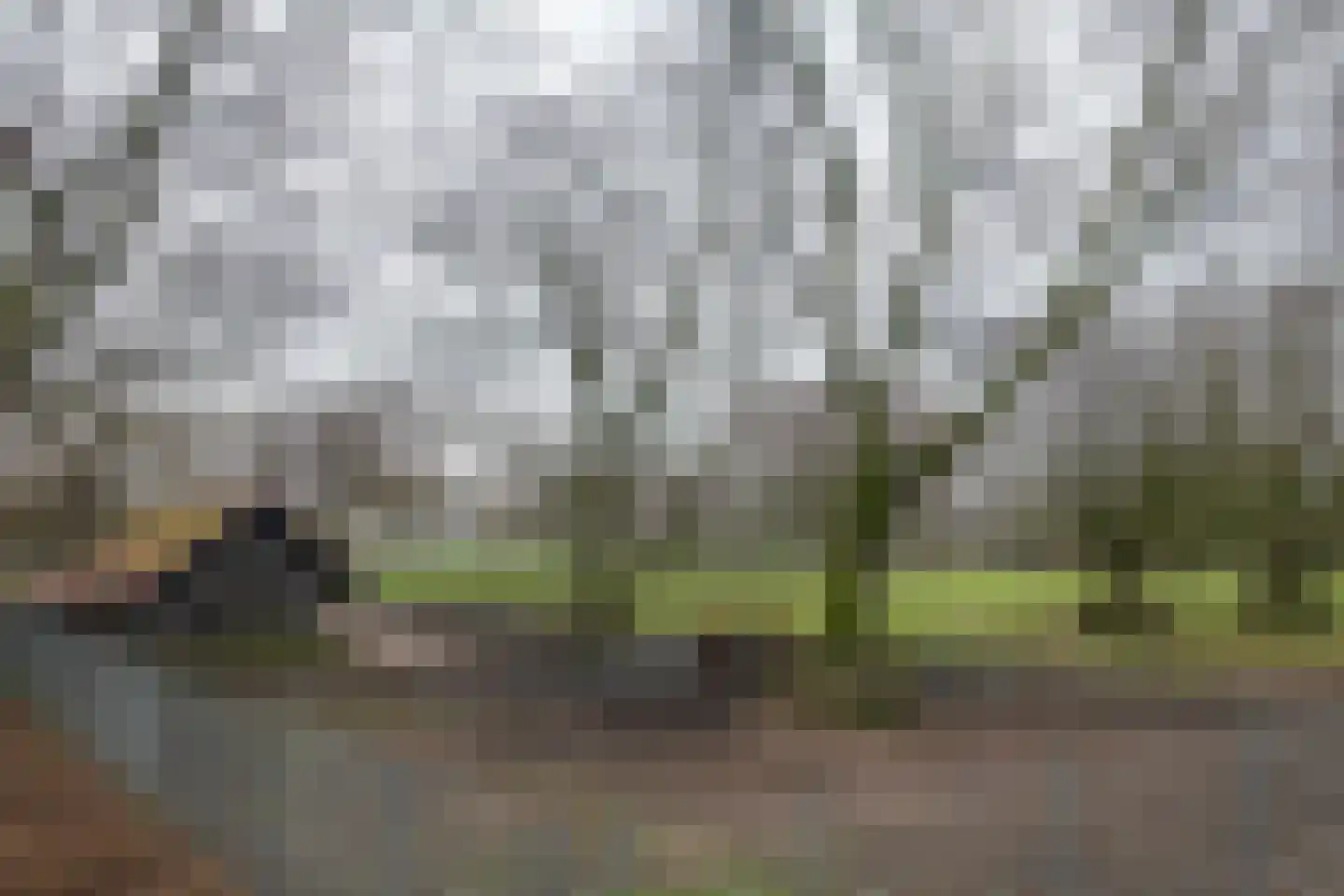 Hortensialaan 6 Helmond thumbnail 28