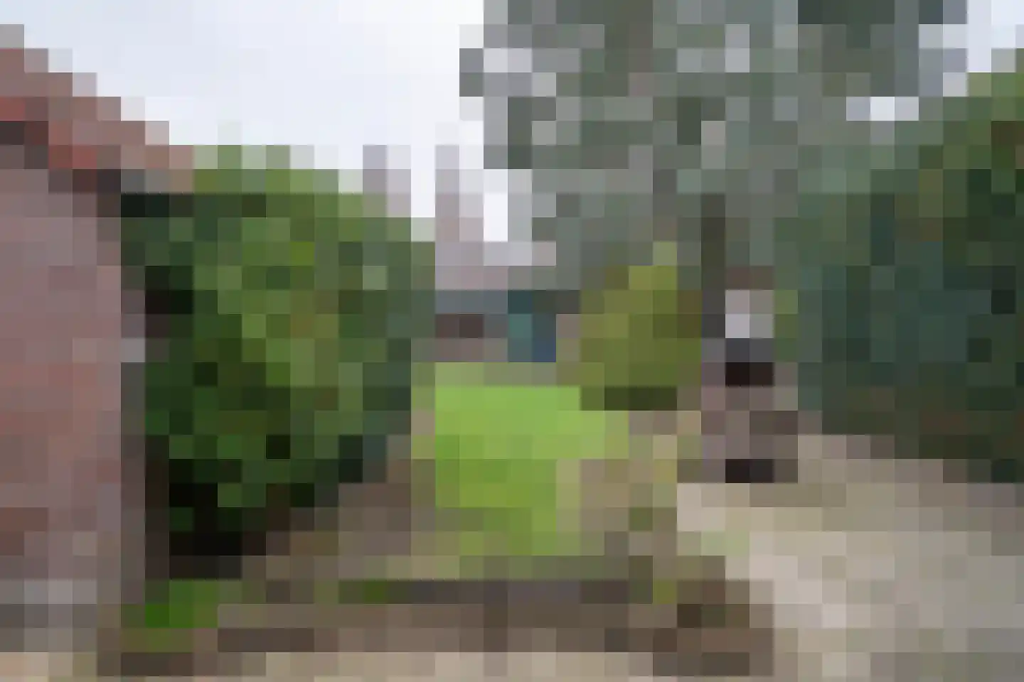 Hortensialaan 6 Helmond thumbnail 29