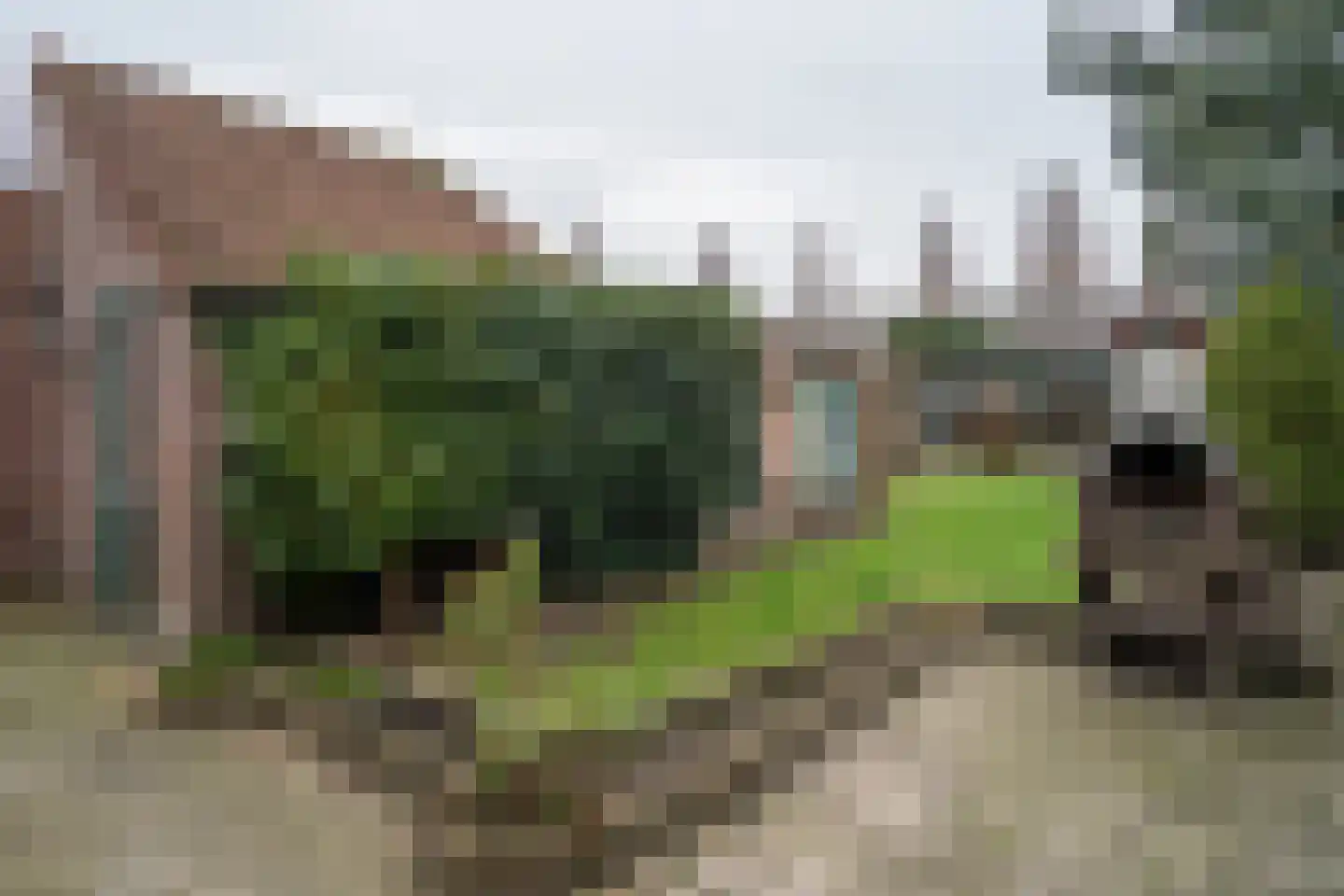 Hortensialaan 6 Helmond thumbnail 30