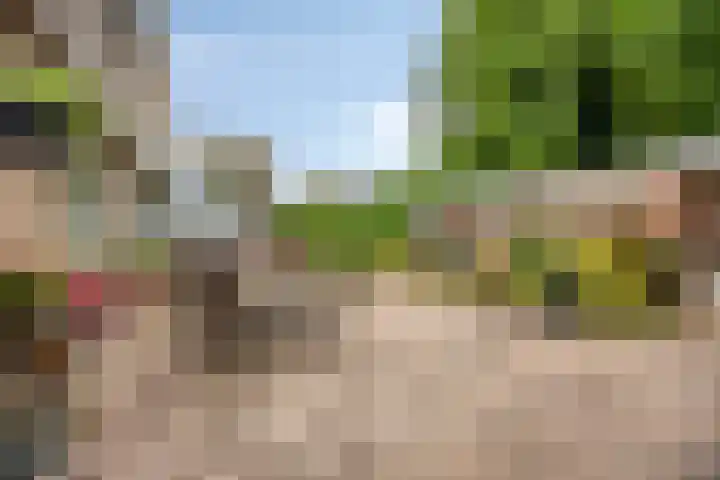 Hortensialaan 61 Winterswijk thumbnail 32