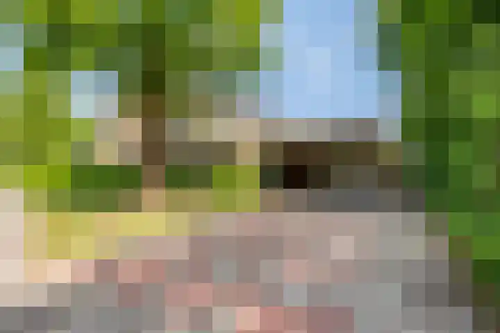 Hortensialaan 61 Winterswijk thumbnail 37