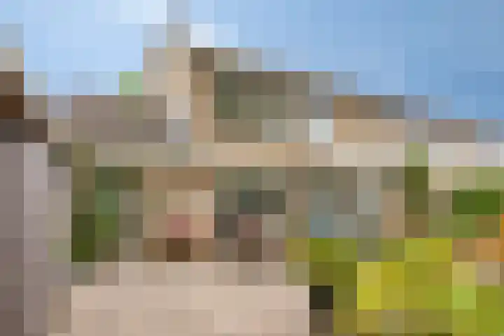Hortensialaan 61 Winterswijk thumbnail 38