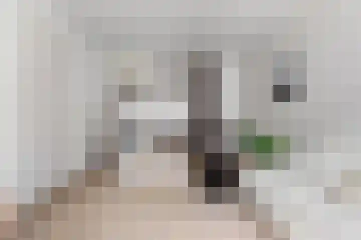 Hortensialaan 62 Groningen thumbnail 10