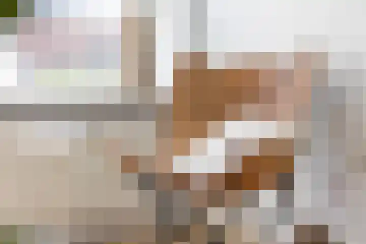 Hortensialaan 62 Groningen thumbnail 13