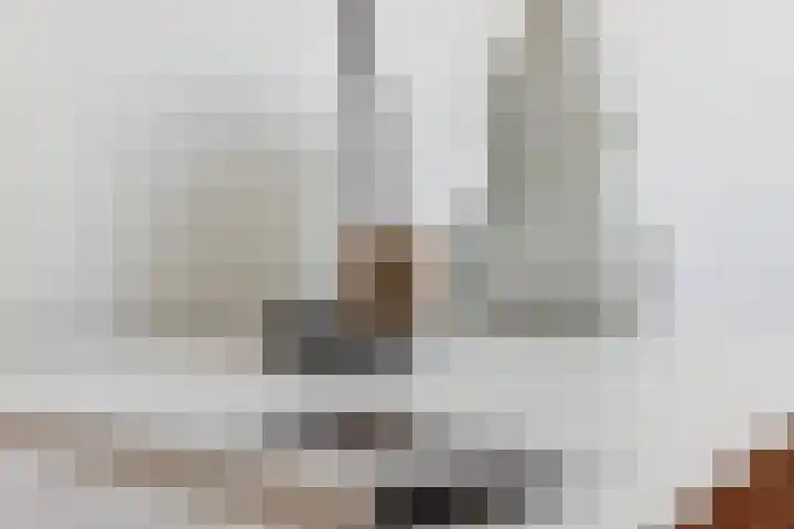 Hortensialaan 62 Groningen thumbnail 30