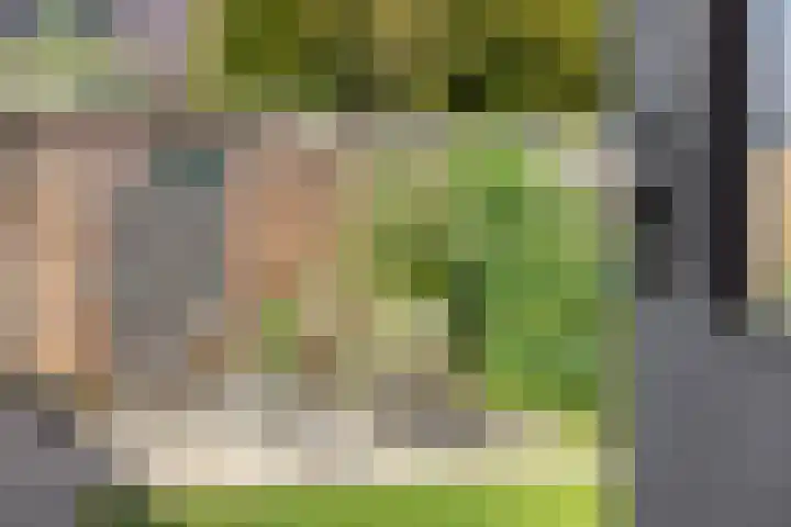 Hortensialaan 62 Groningen thumbnail 35