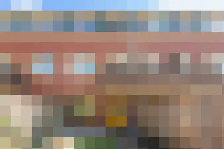 Hortensialaan 62 Groningen thumbnail 38