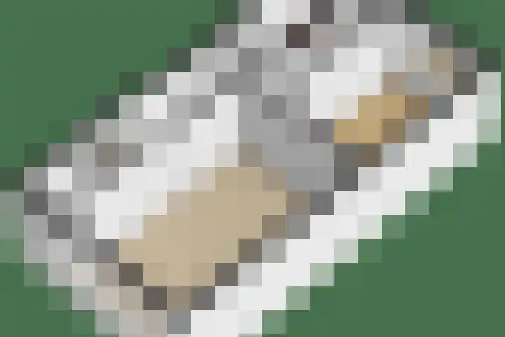 Hortensialaan 62 Groningen thumbnail 45
