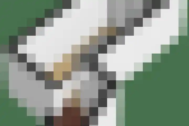 Hortensialaan 62 Groningen thumbnail 47