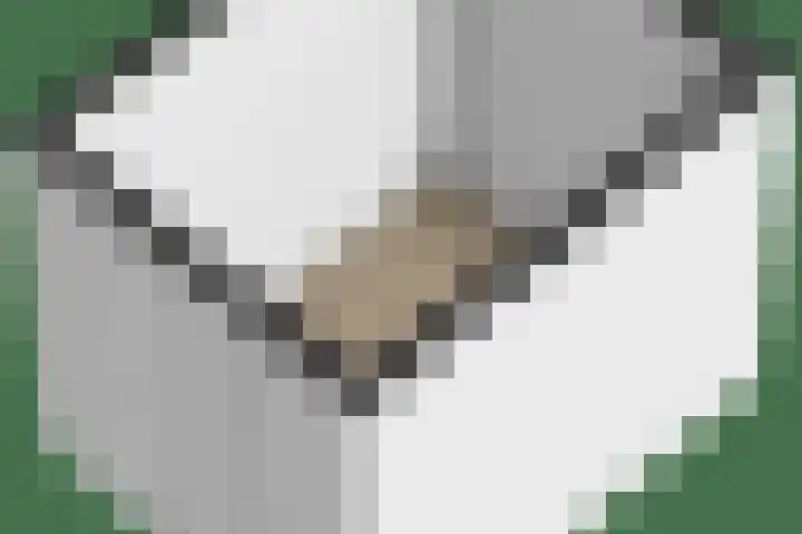 Hortensialaan 62 Groningen thumbnail 49