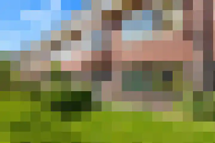 Hortensialaan 62 Groningen thumbnail 5