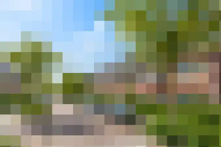 Hortensialaan 62 Groningen thumbnail 6