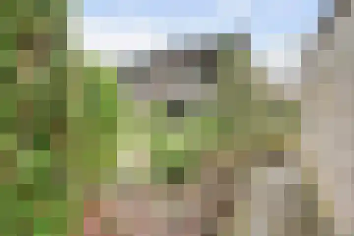 Hortensialaan 68 Winterswijk thumbnail 38