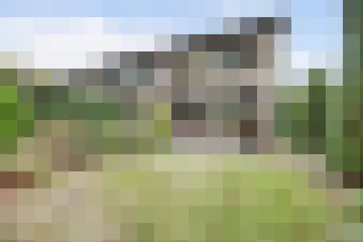 Hortensialaan 68 Winterswijk thumbnail 4