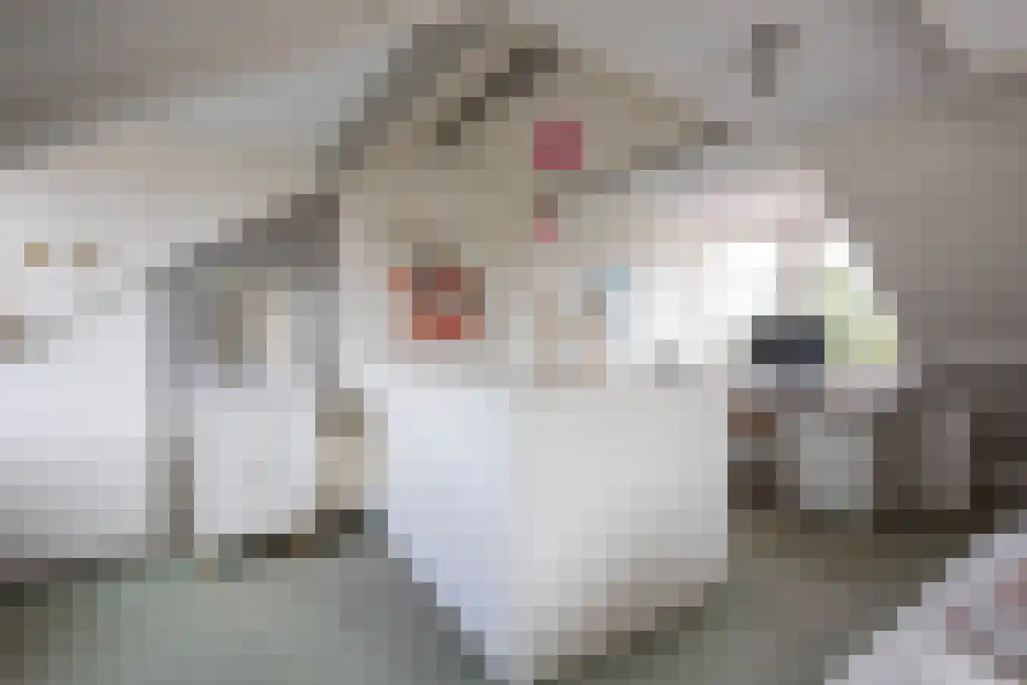 Hortensialaan 7 Aalsmeer thumbnail 33