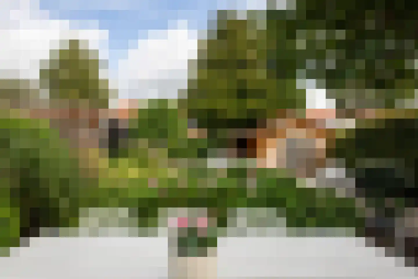 Hortensialaan 7 Aalsmeer thumbnail 36