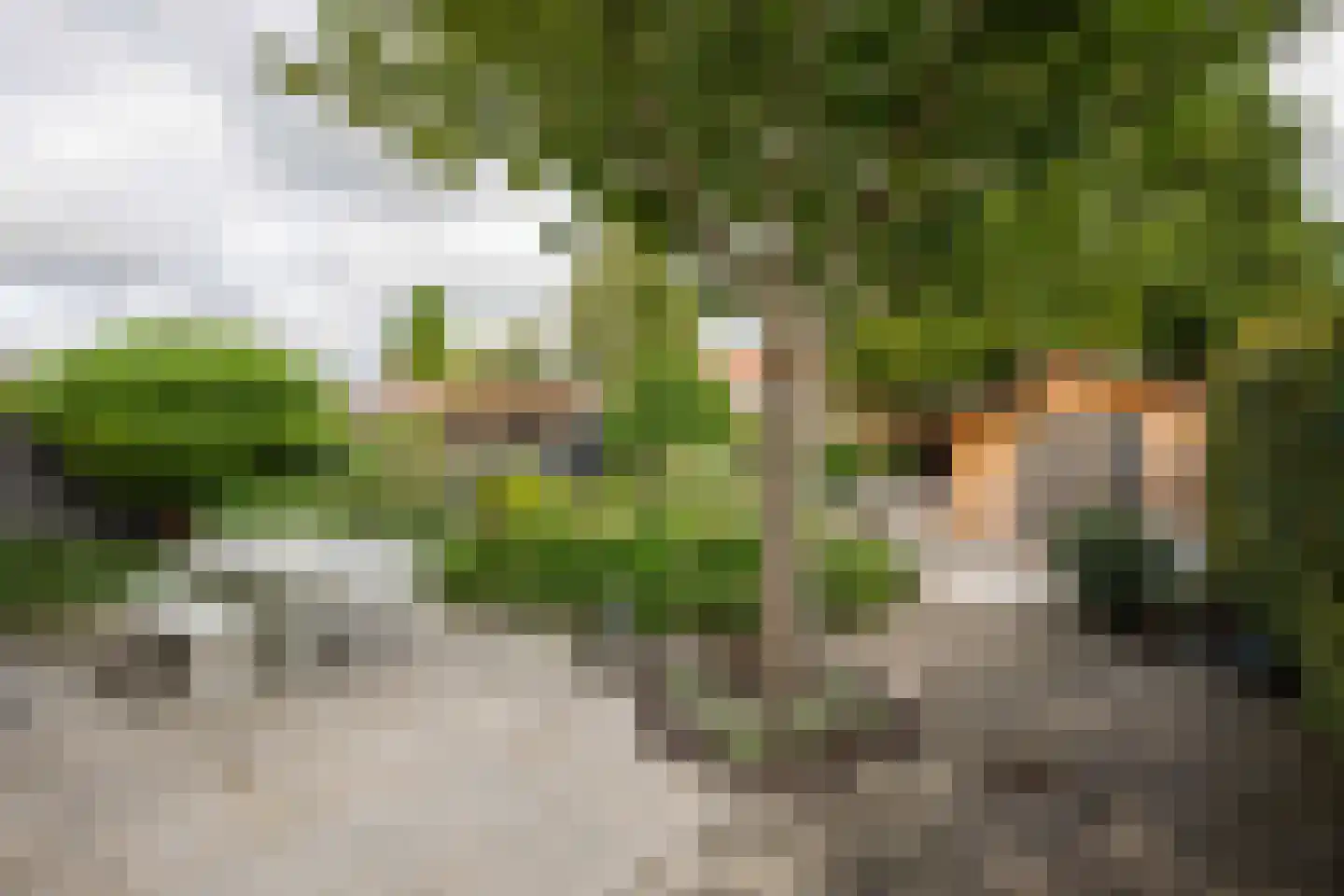 Hortensialaan 7 Aalsmeer thumbnail 37