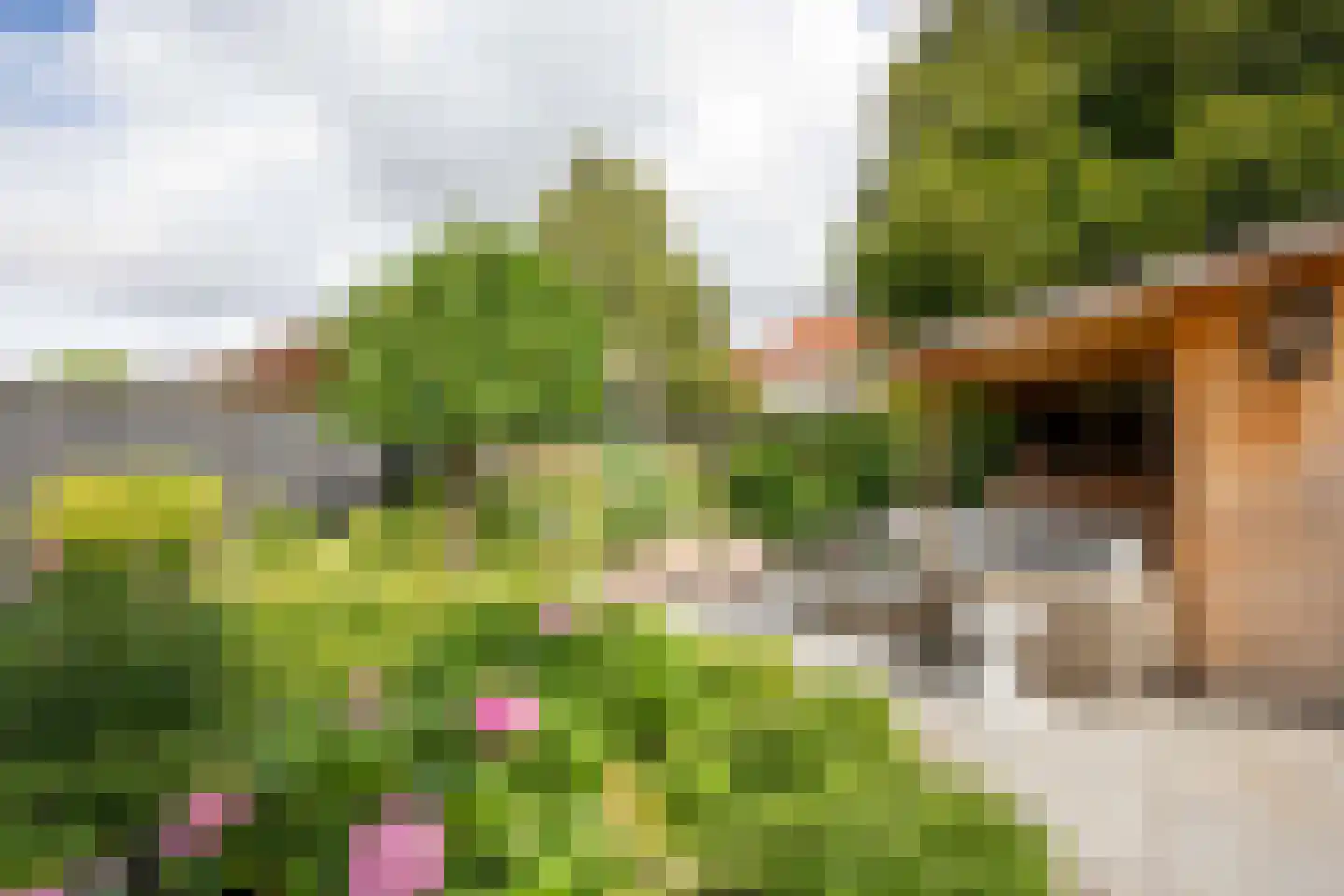 Hortensialaan 7 Aalsmeer thumbnail 38