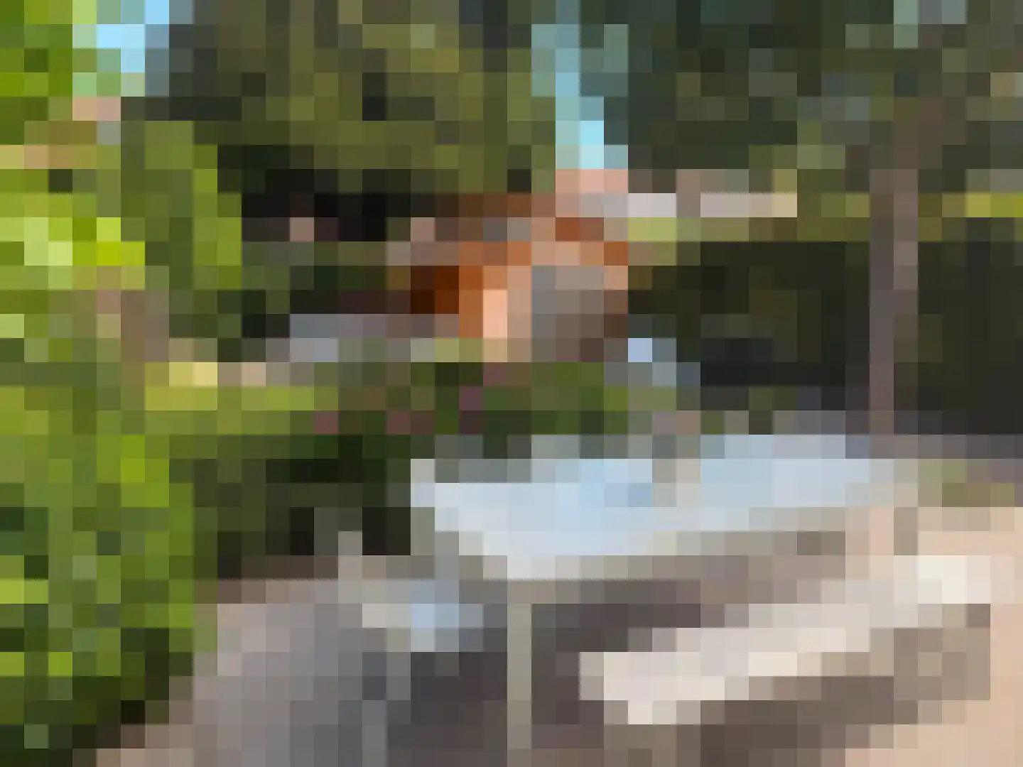 Hortensialaan 7 Aalsmeer thumbnail 4