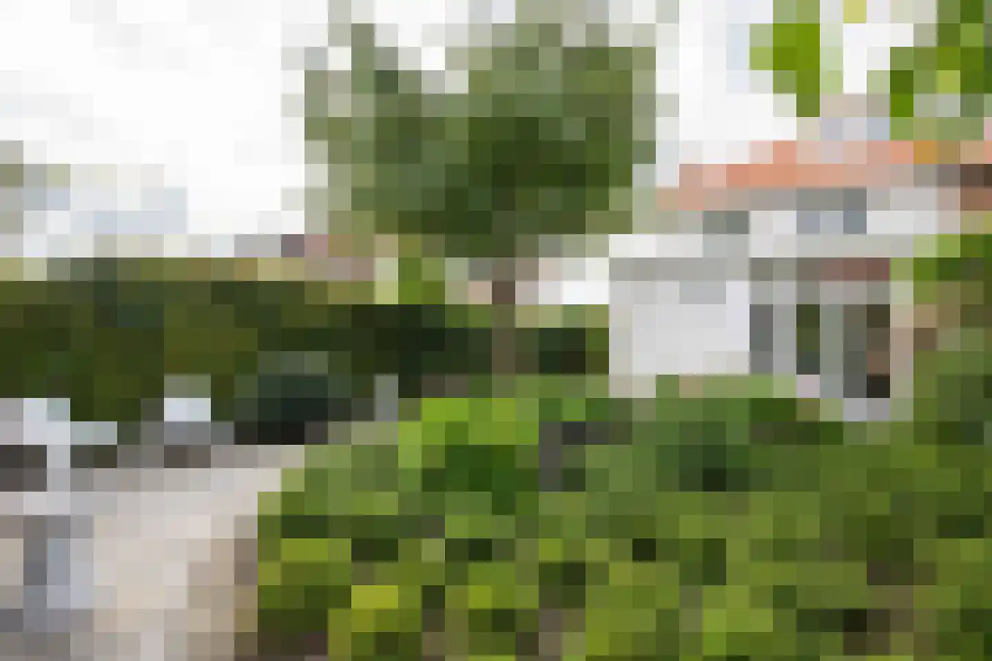 Hortensialaan 7 Aalsmeer thumbnail 41